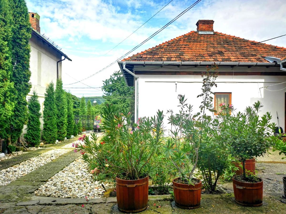 Casa Petrescu Curtea de Argeş Exterior foto